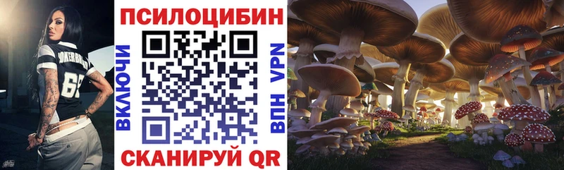 Галлюциногенные грибы мицелий  Москва 